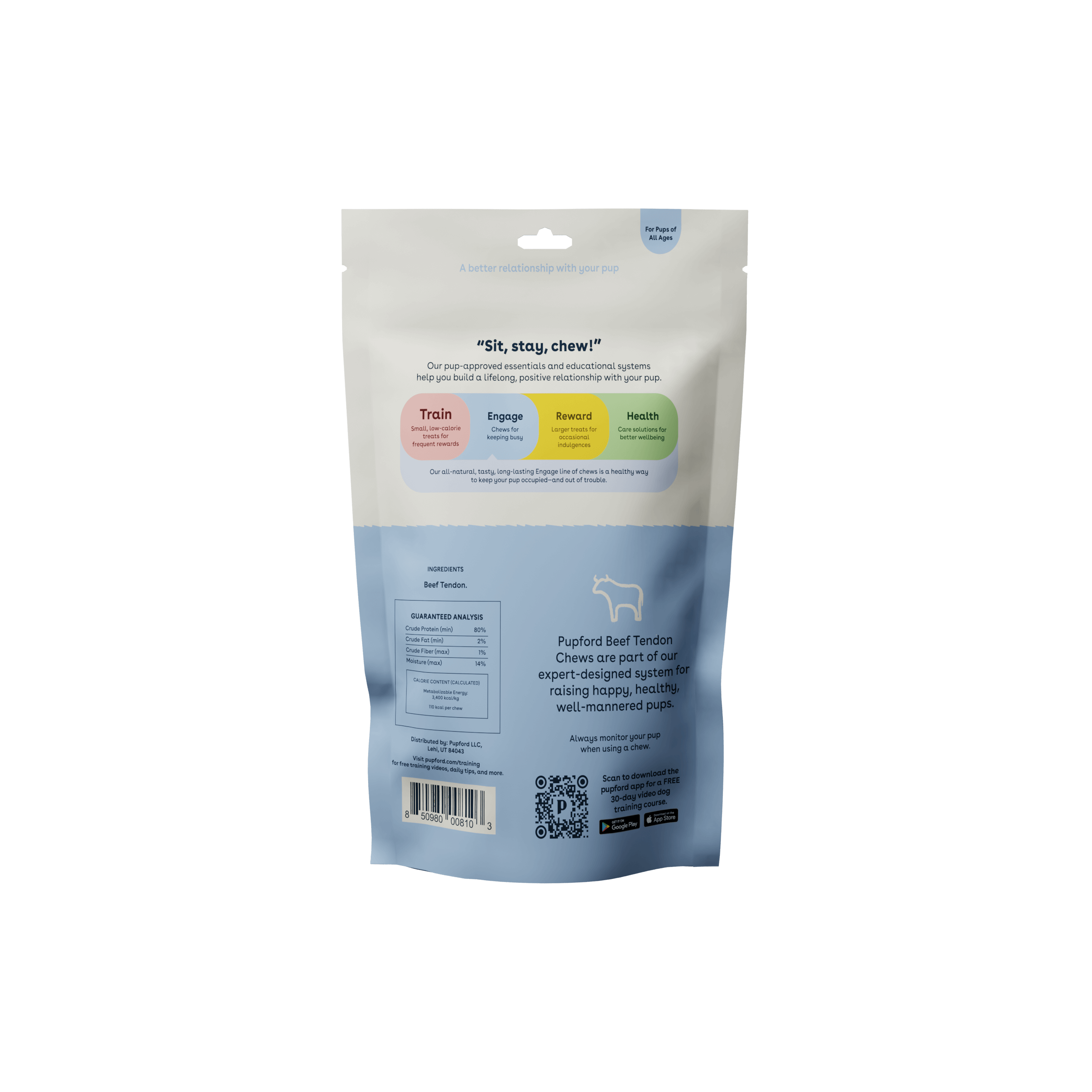 Beef Tendon 4 Pack | Pupford