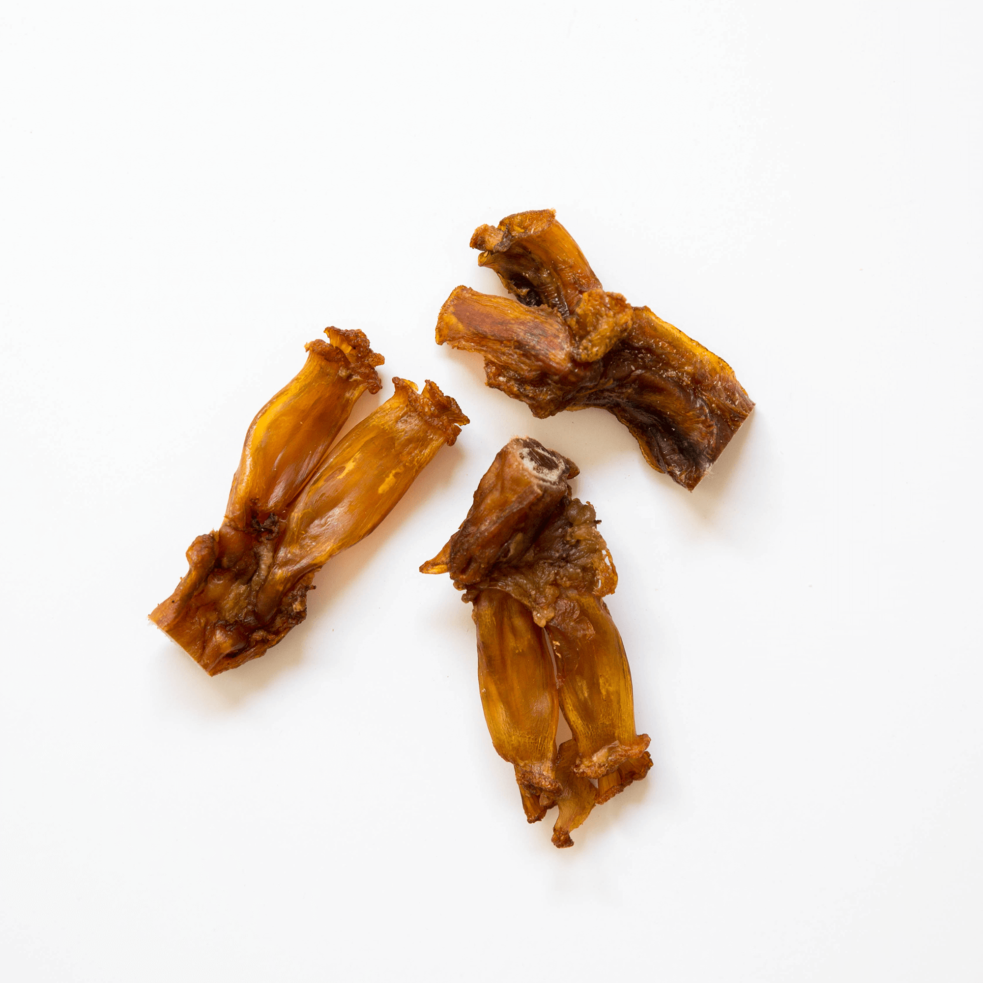 Beef-Tendons on white background | Pupford