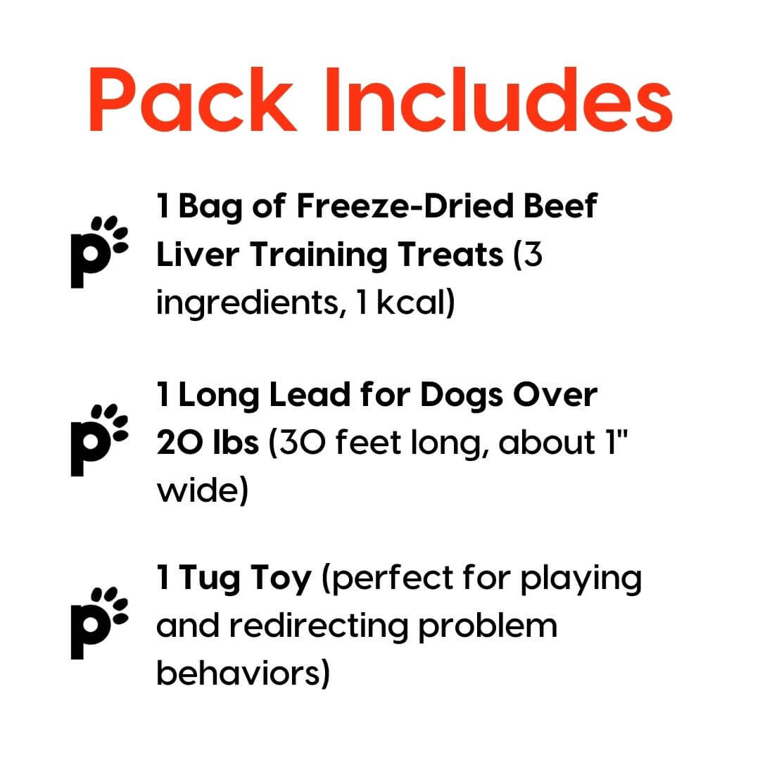 training starter pack beef liver large lead inclusions | Pupford