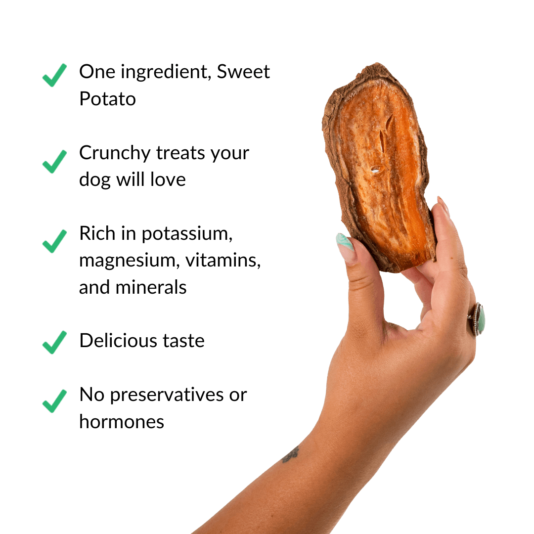Sweet Potato Jerky in hand white web