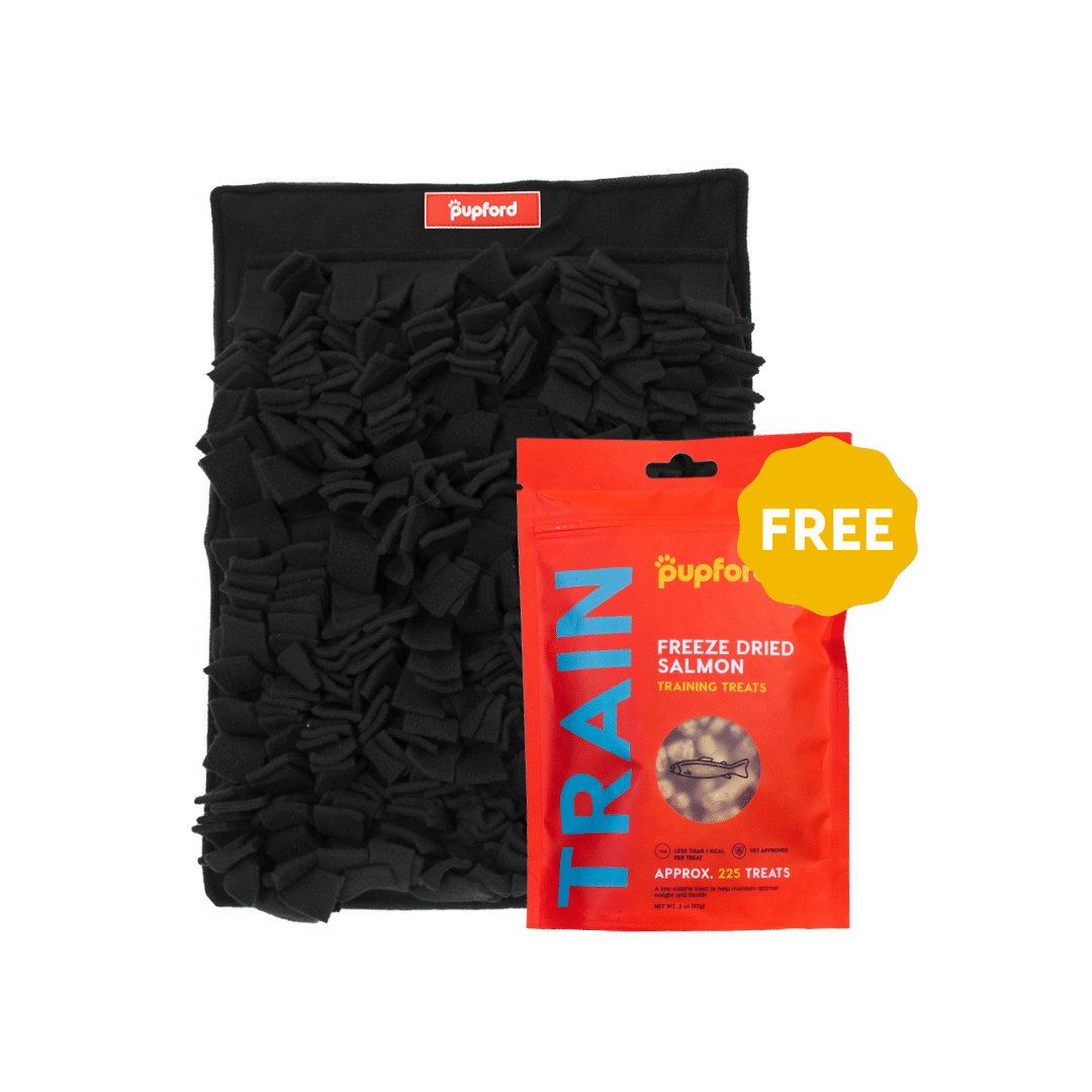 snuffle mat with free salmon training treats | Pupford