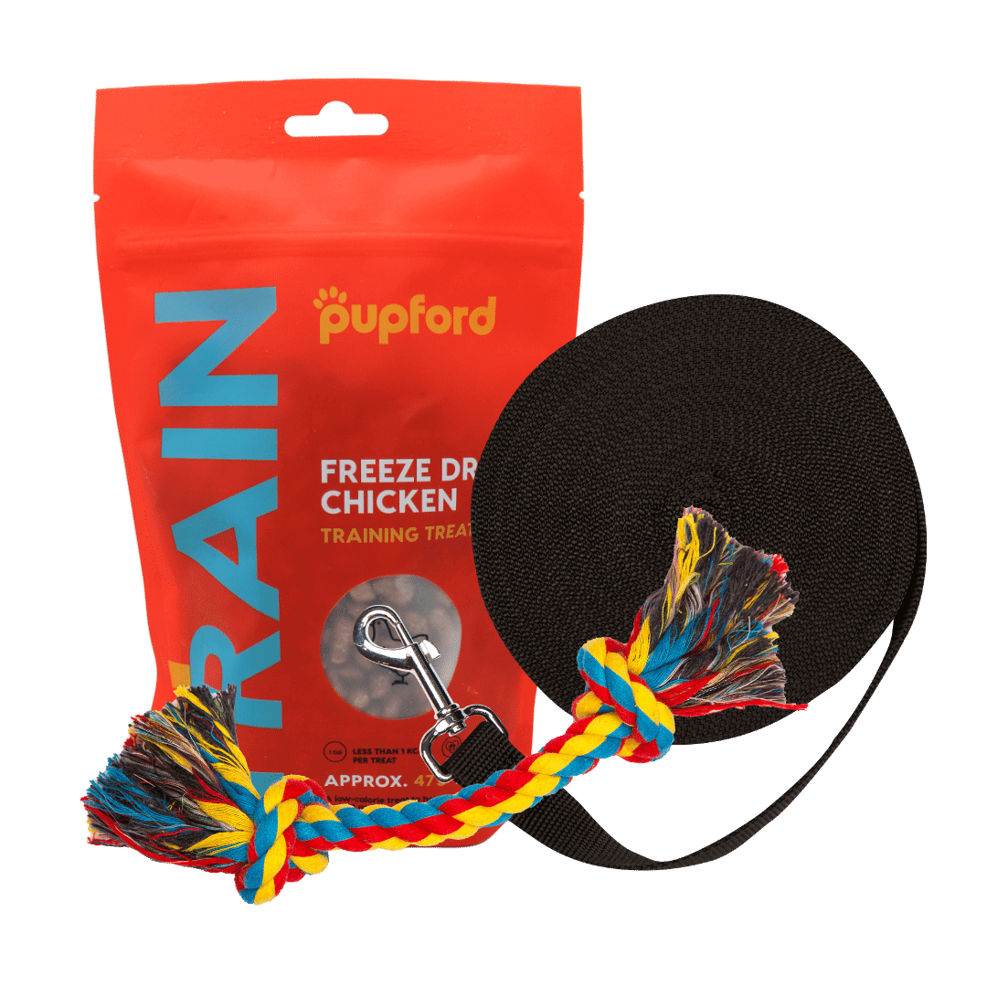 Training-Starter-Pack-with-chicken-treat-large-lead | Pupford