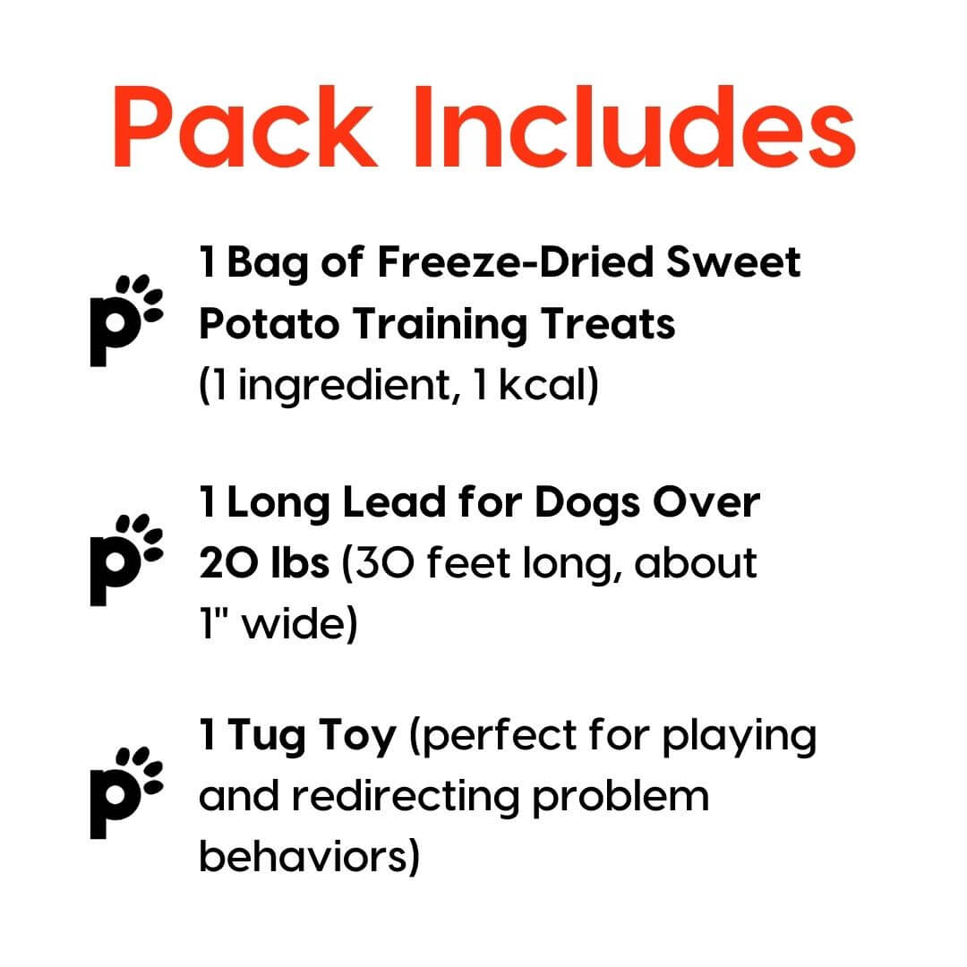 training starter pack sweet potato large lead inclusions | Pupford