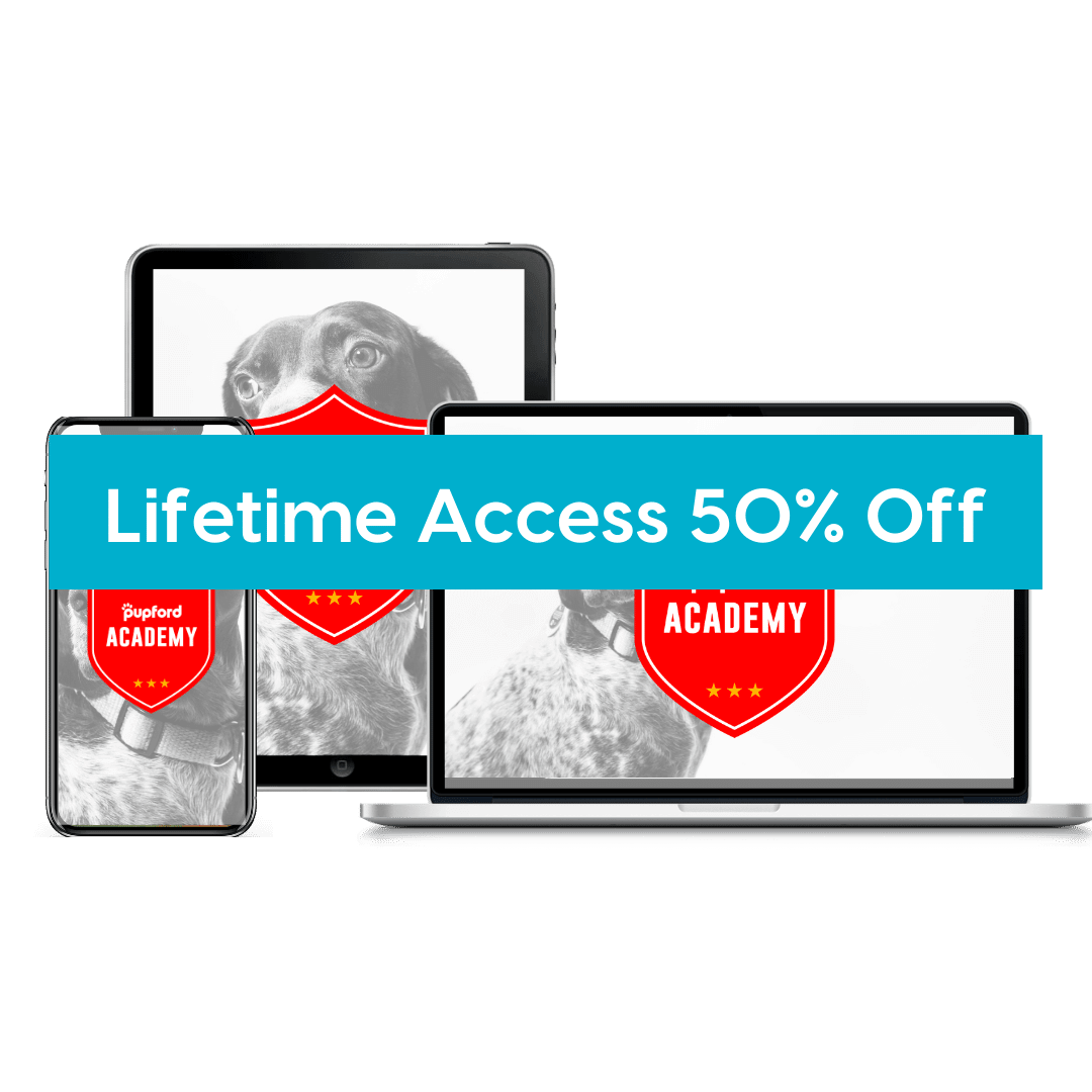 Pupford Academy Lifetime BF Product Image | Pupford