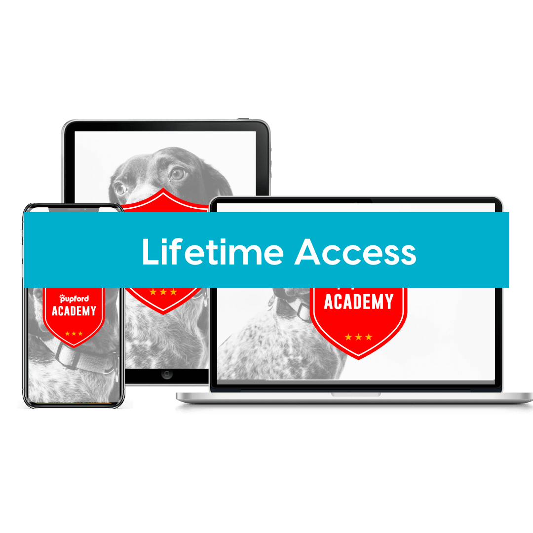 Pupford Academy Lifetime Product Image