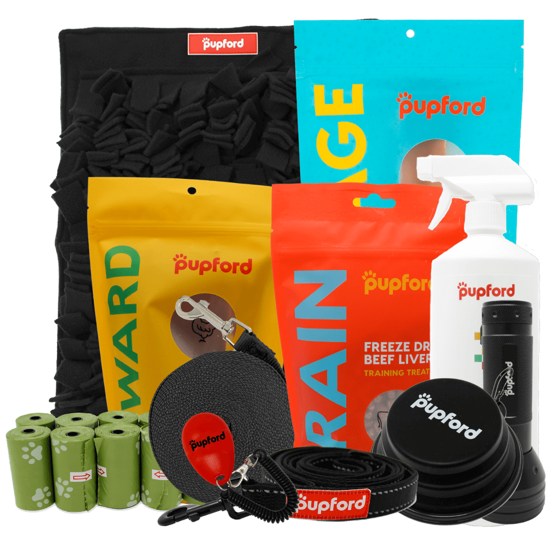 large dog new year new pup pack | Pupford