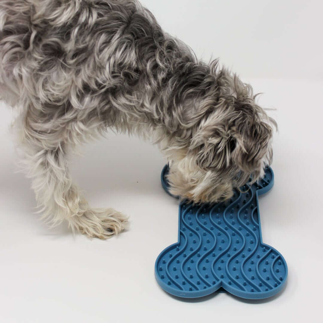 Dog-Licking-Focus-Mat-Web | Pupford