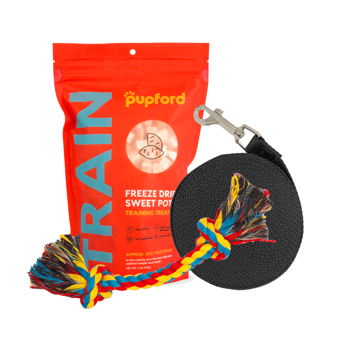 Training-Starter-Pack-with-sweet-potato-treat-small-lead | Pupford