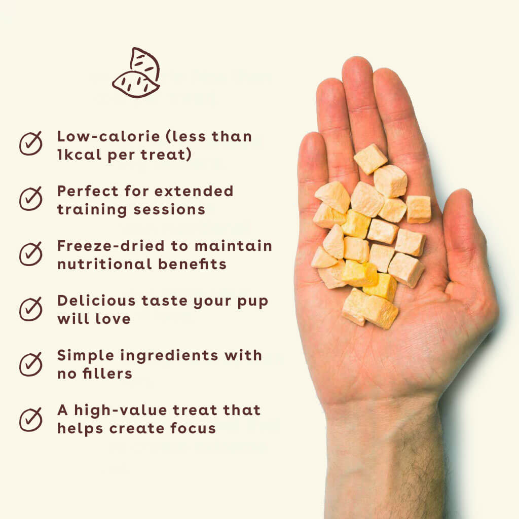 NEW_sweet-potato-treats-in-hand-with-benefits