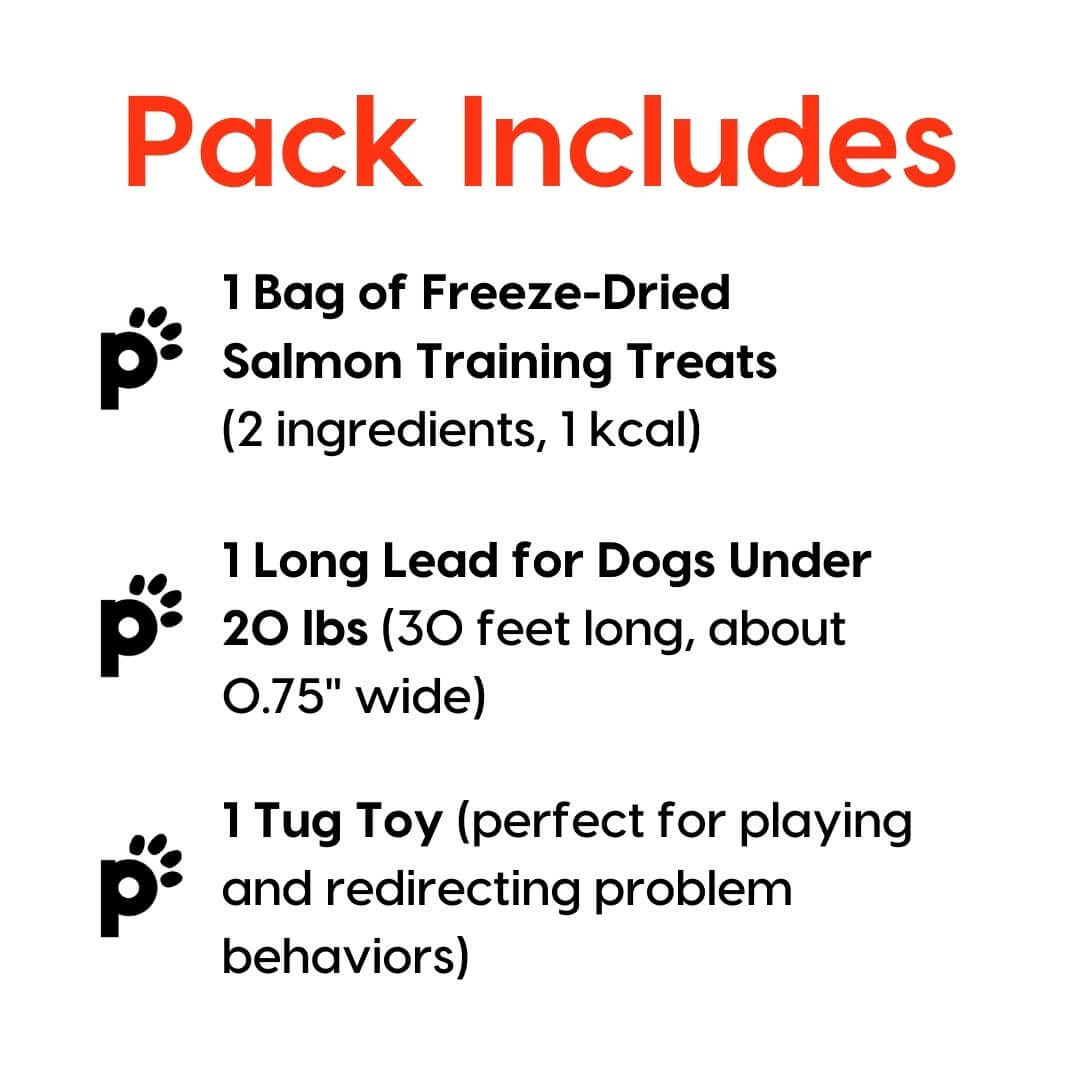 training starter pack salmon small lead inclusions | Pupford