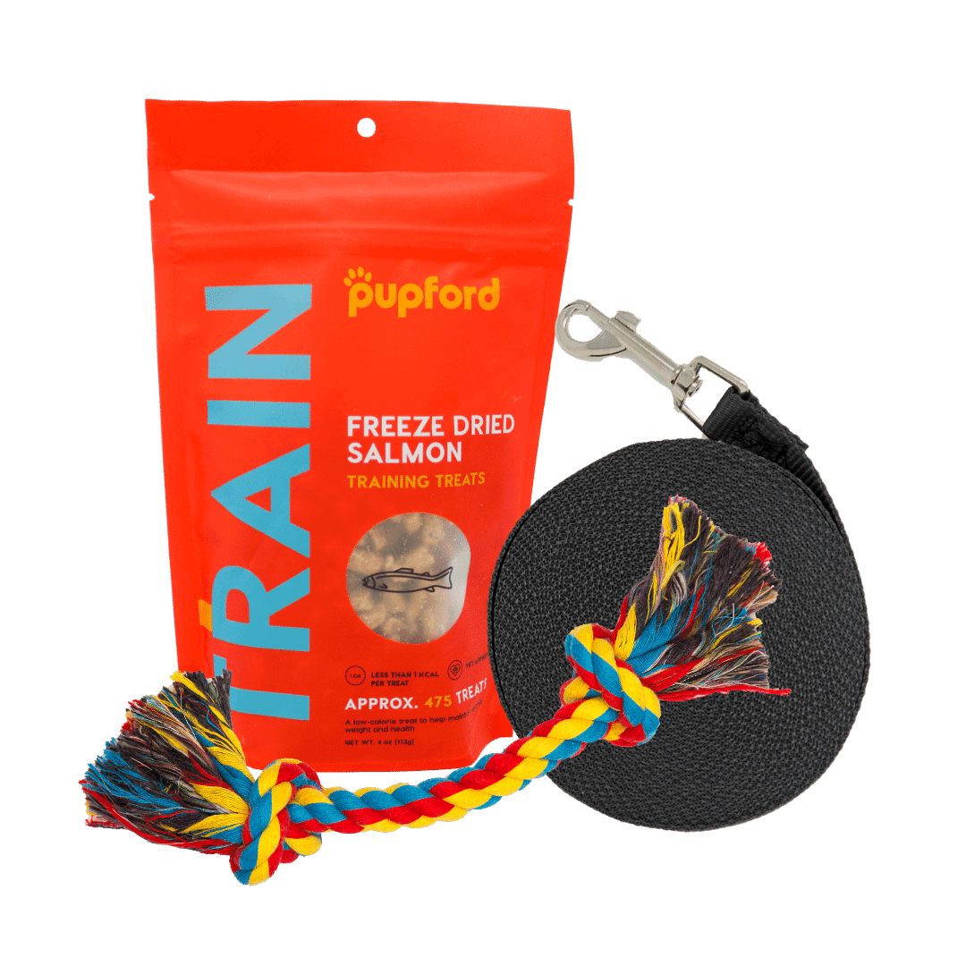 Training-Starter-Pack-with-salmon-treat-small-lead | Pupford
