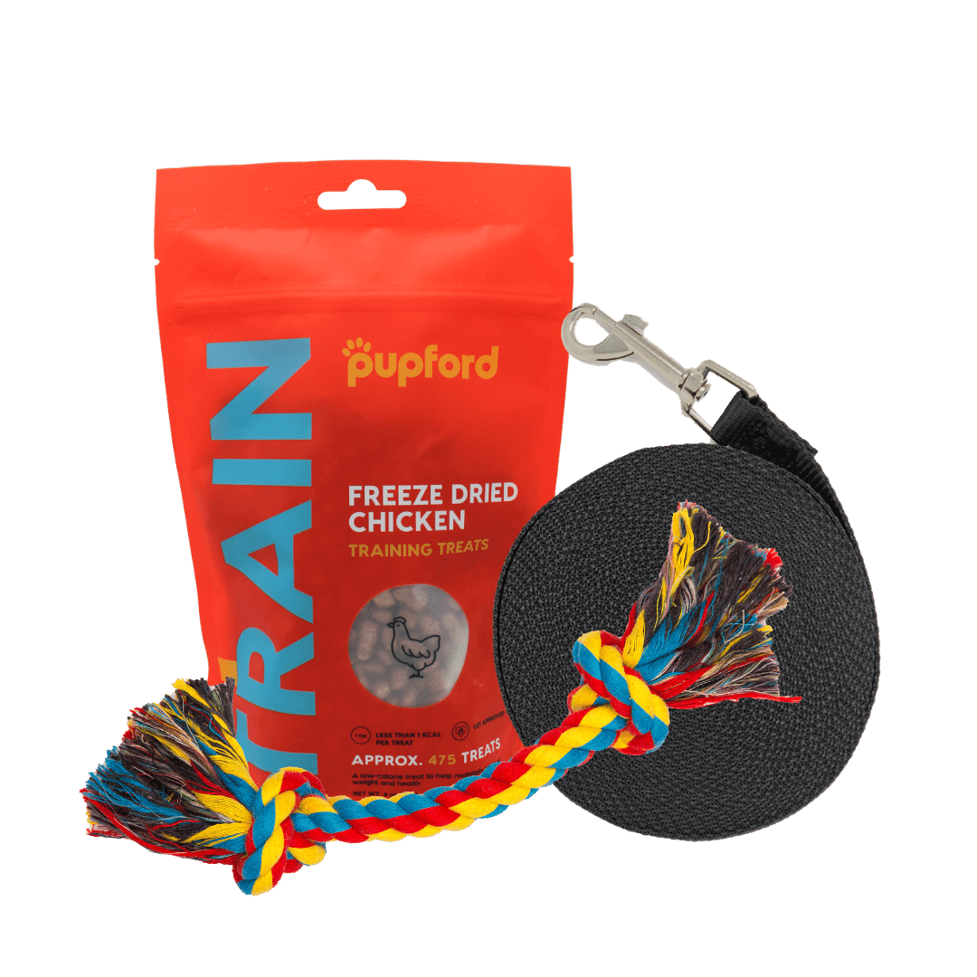 Training-Starter-Pack-with-chicken-treat-small-lead | Pupford