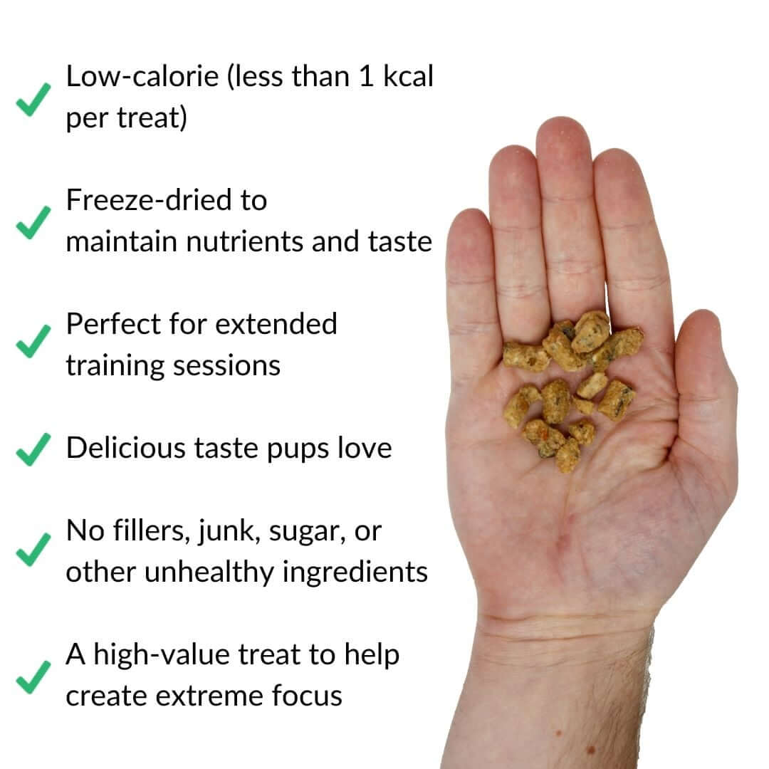 salmon-treats-in-hand-with-benefits-web-white | Pupford
