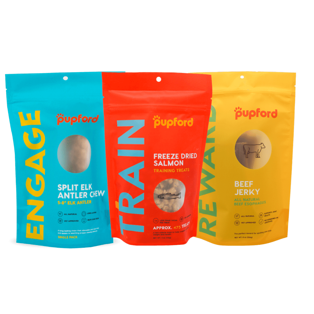 large-dog-savory-pack | Pupford