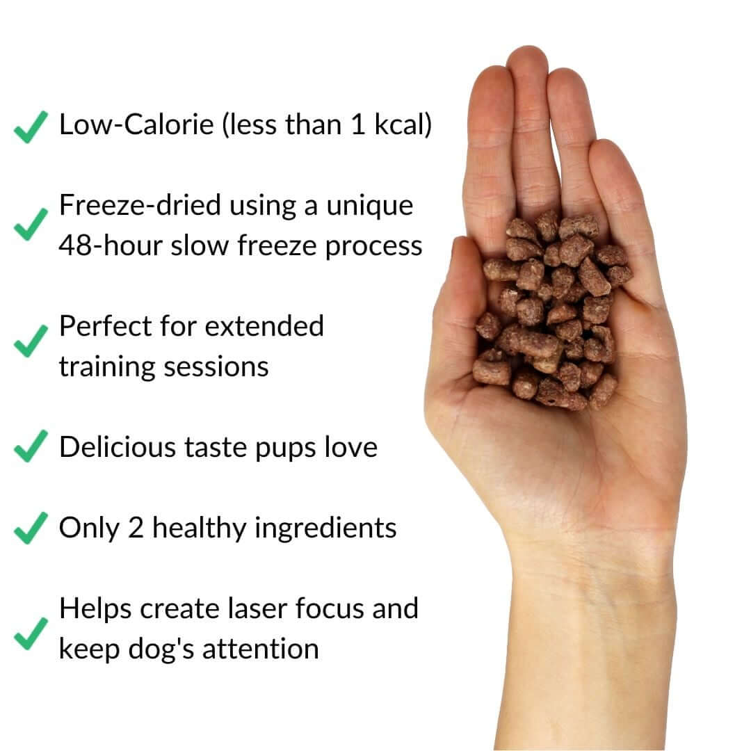 chicken-treats-in-hand-with-benefits | Pupford