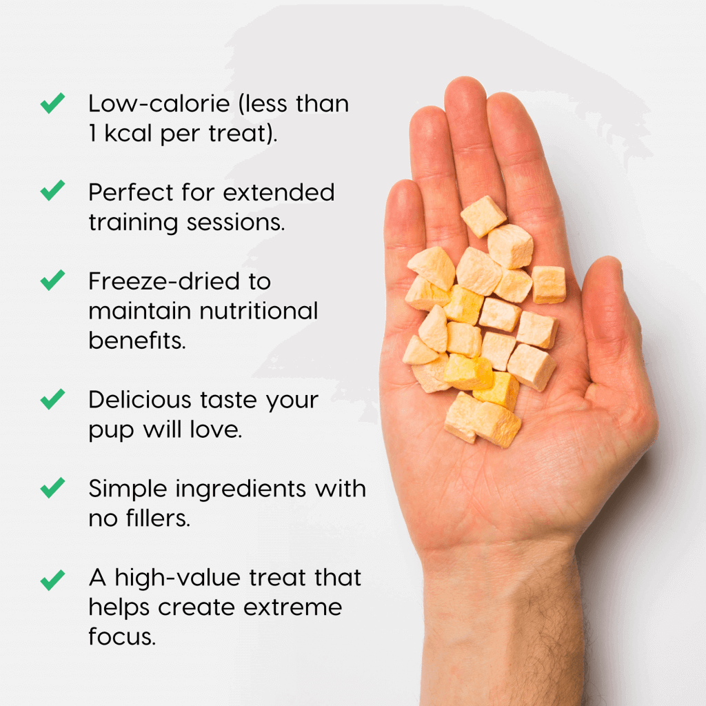 sweet potato treats in hand with benefits | Pupford