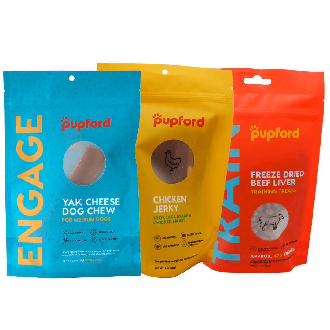 medium dog new favorites pack | Pupford