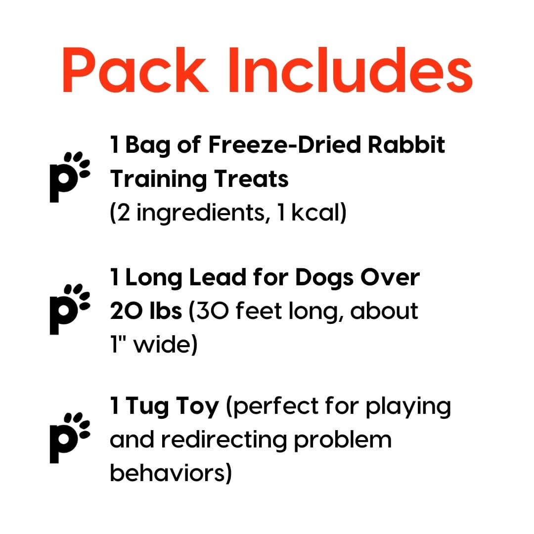 training starter pack rabbit large lead inclusions | Pupford