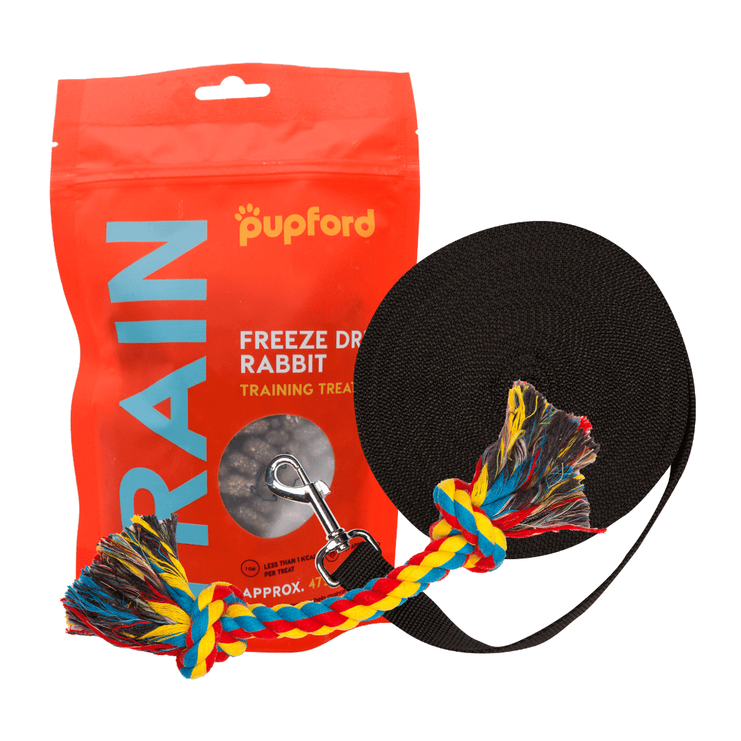 training-starter-pack-with-rabbit-treats-large-lead | Pupford