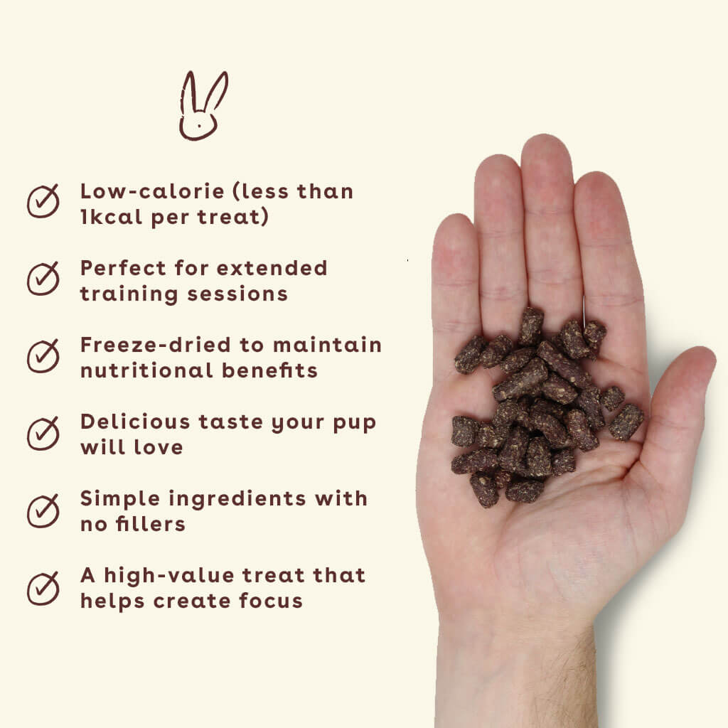 New_rabbit-treats-in-hand-with-benefits