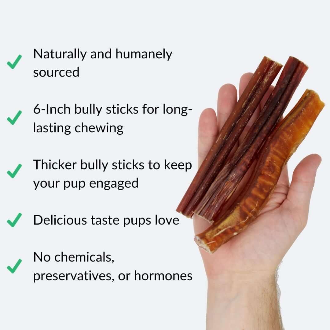 bully-sticks-in-hand-with-benefits-gray-background | Pupford