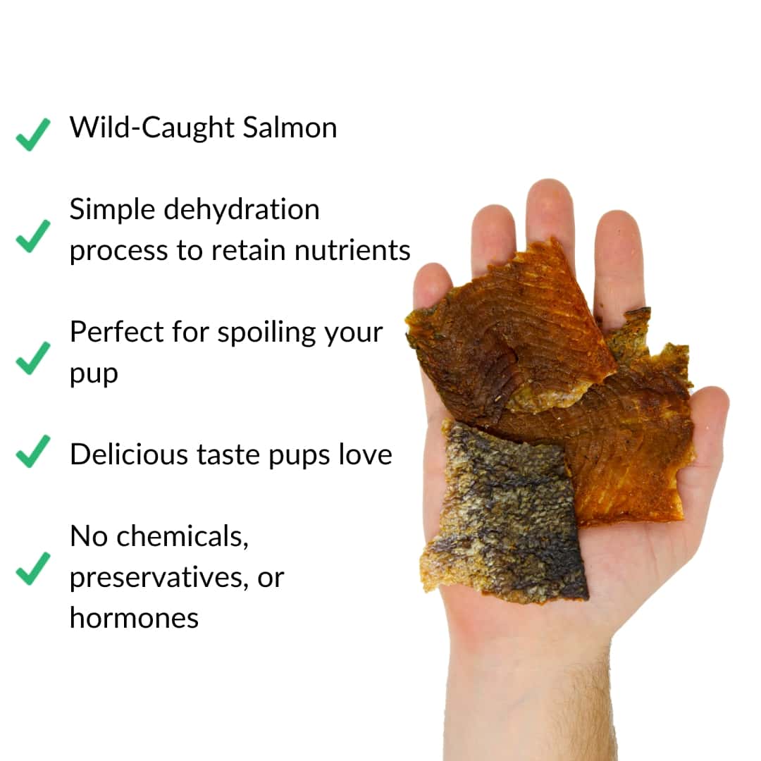 salmon-jerky-in-hand-with-benefits-web | Pupford 