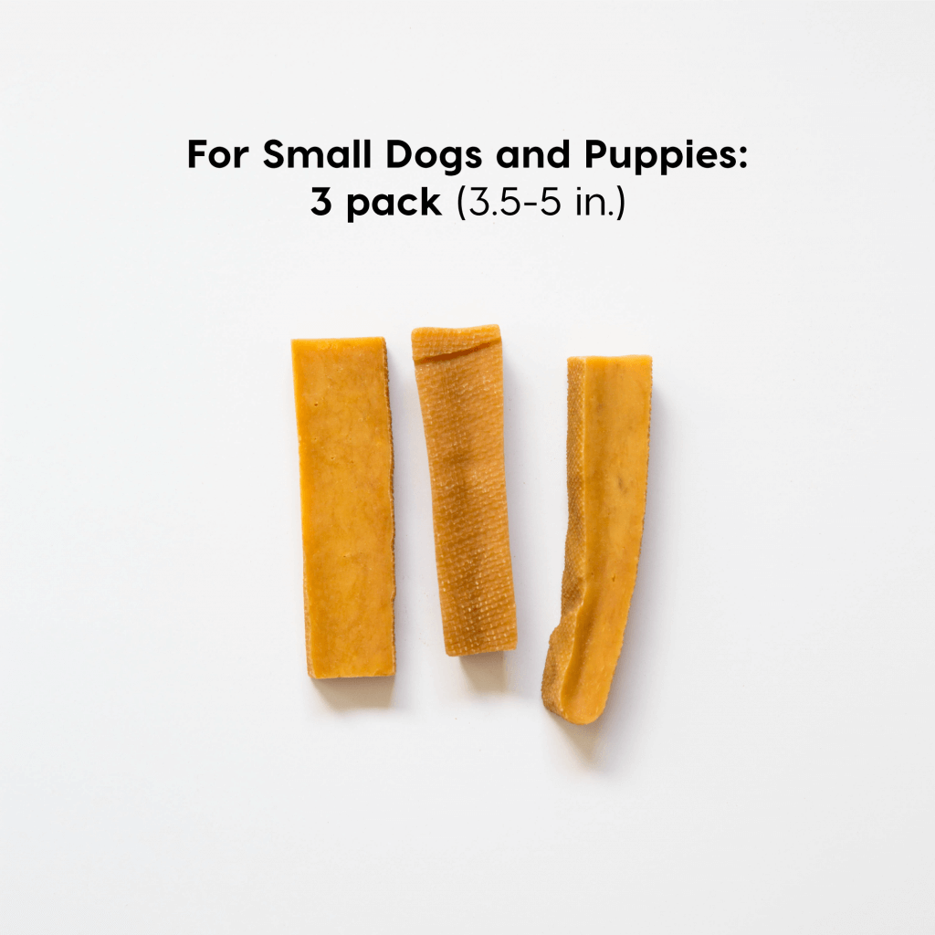 small-dogs | Pupford