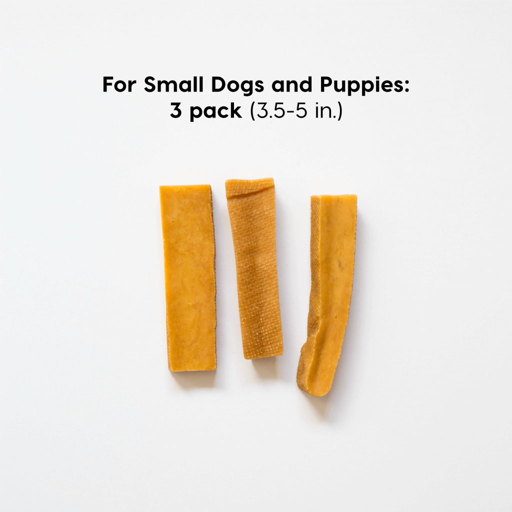 small-dogs | Pupford 