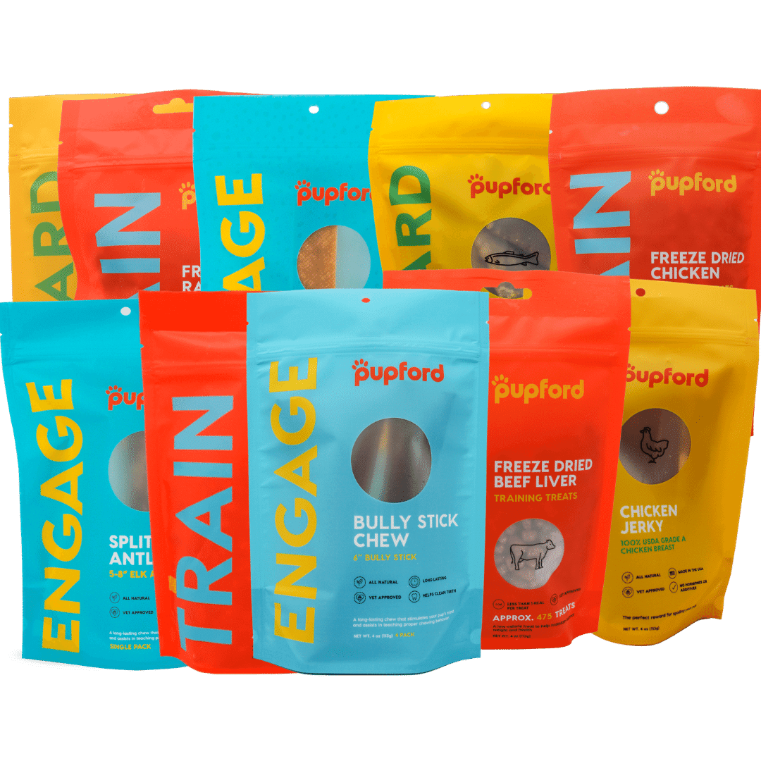 medium-dog-superb-pack | Pupford