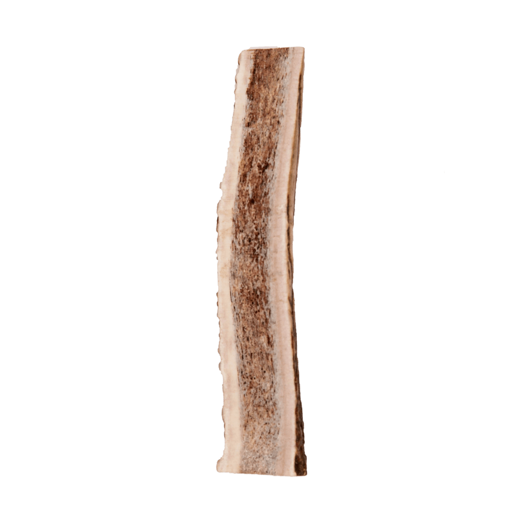 single elk antler | Pupford