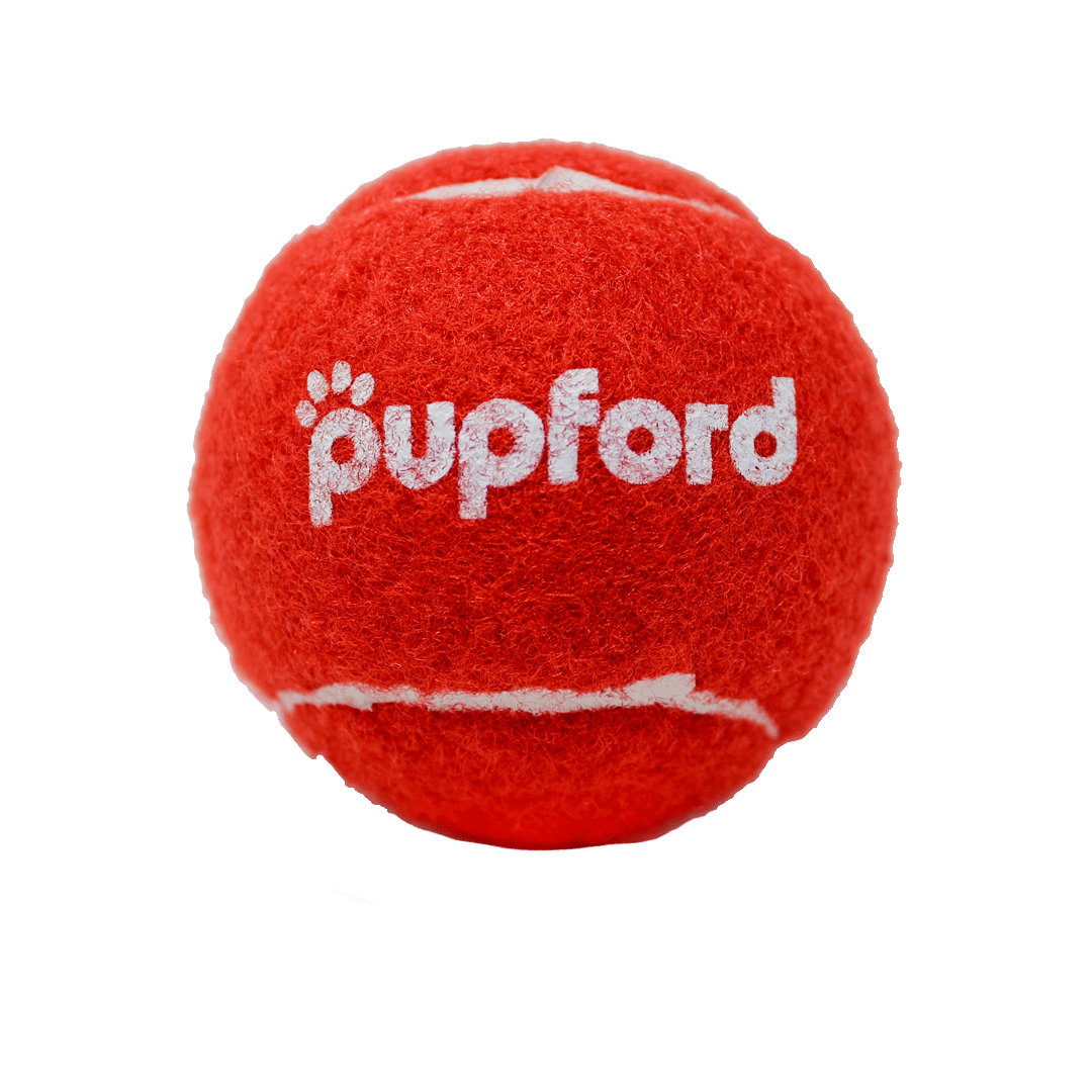 Pupford-Red-Tennis-Ball-Product-Image | Pupford