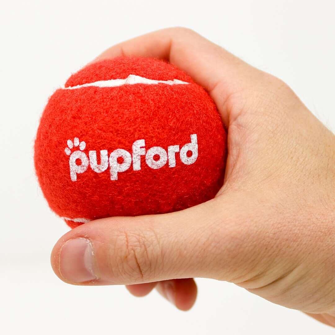Pupford-Tennis-Ball-in-Hand | Pupford