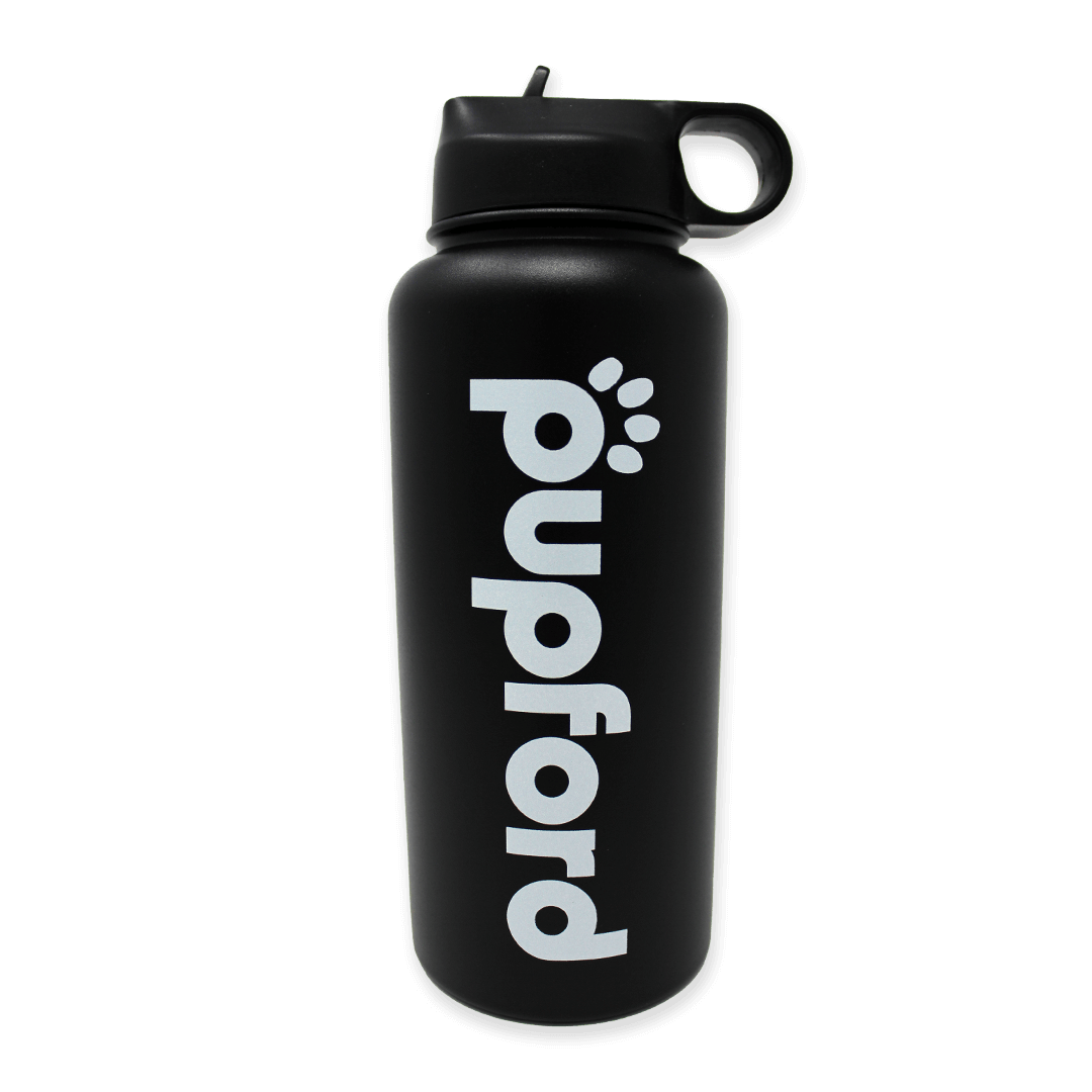 Black-Water-Bottle-Main-Image | Pupford 