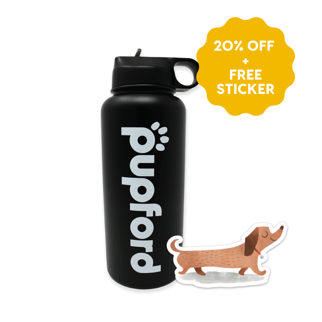 BFCM black water bottle product image | Pupford