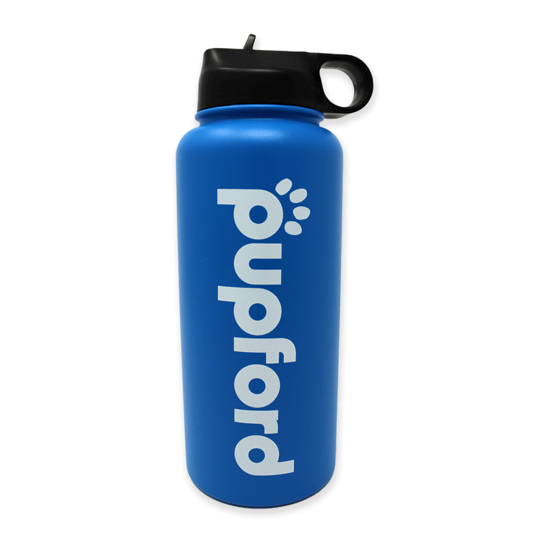 Blue-Insulated-Water-Bottle-Main-Image | Pupford