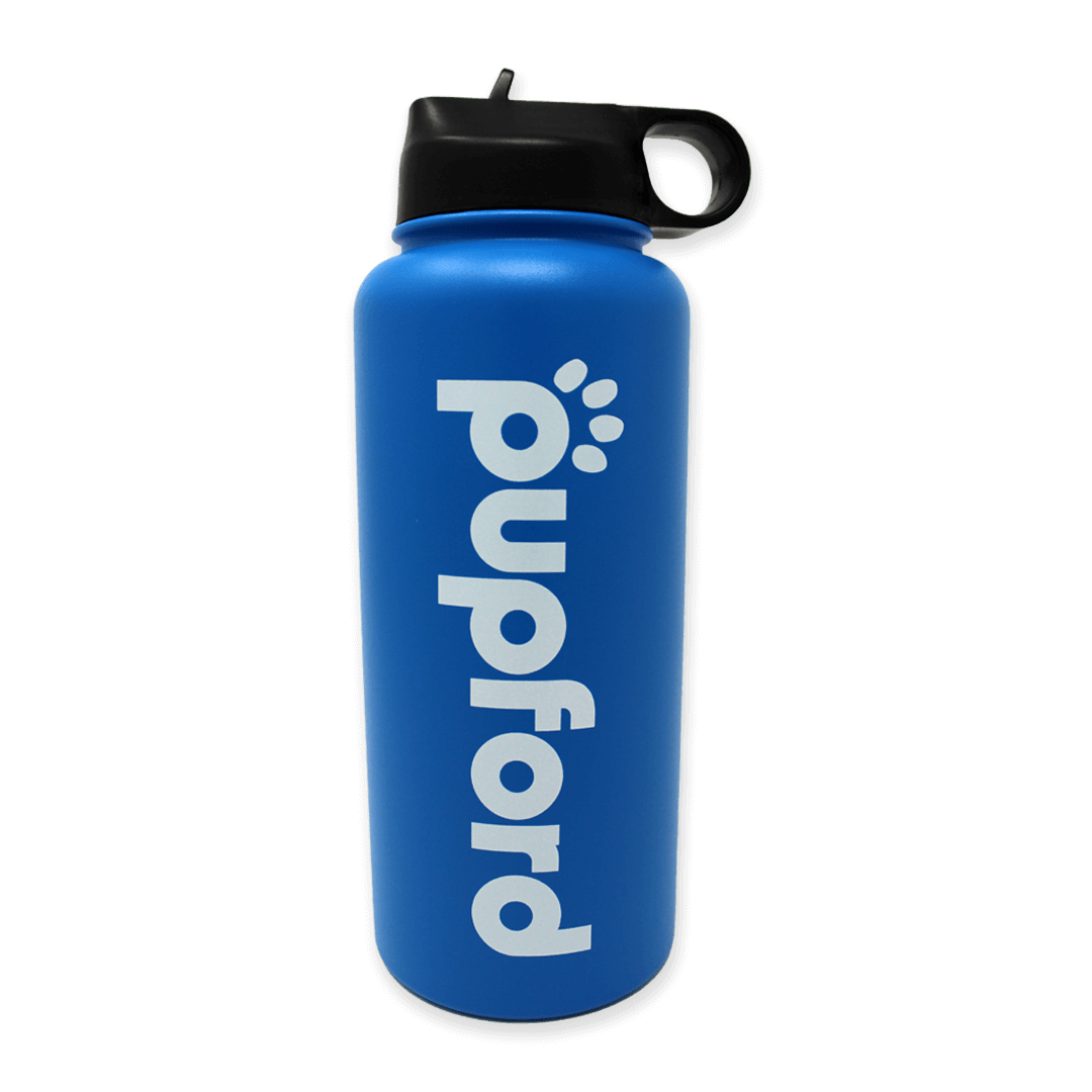 Blue-Insulated-Water-Bottle-Main-Image | Pupford 