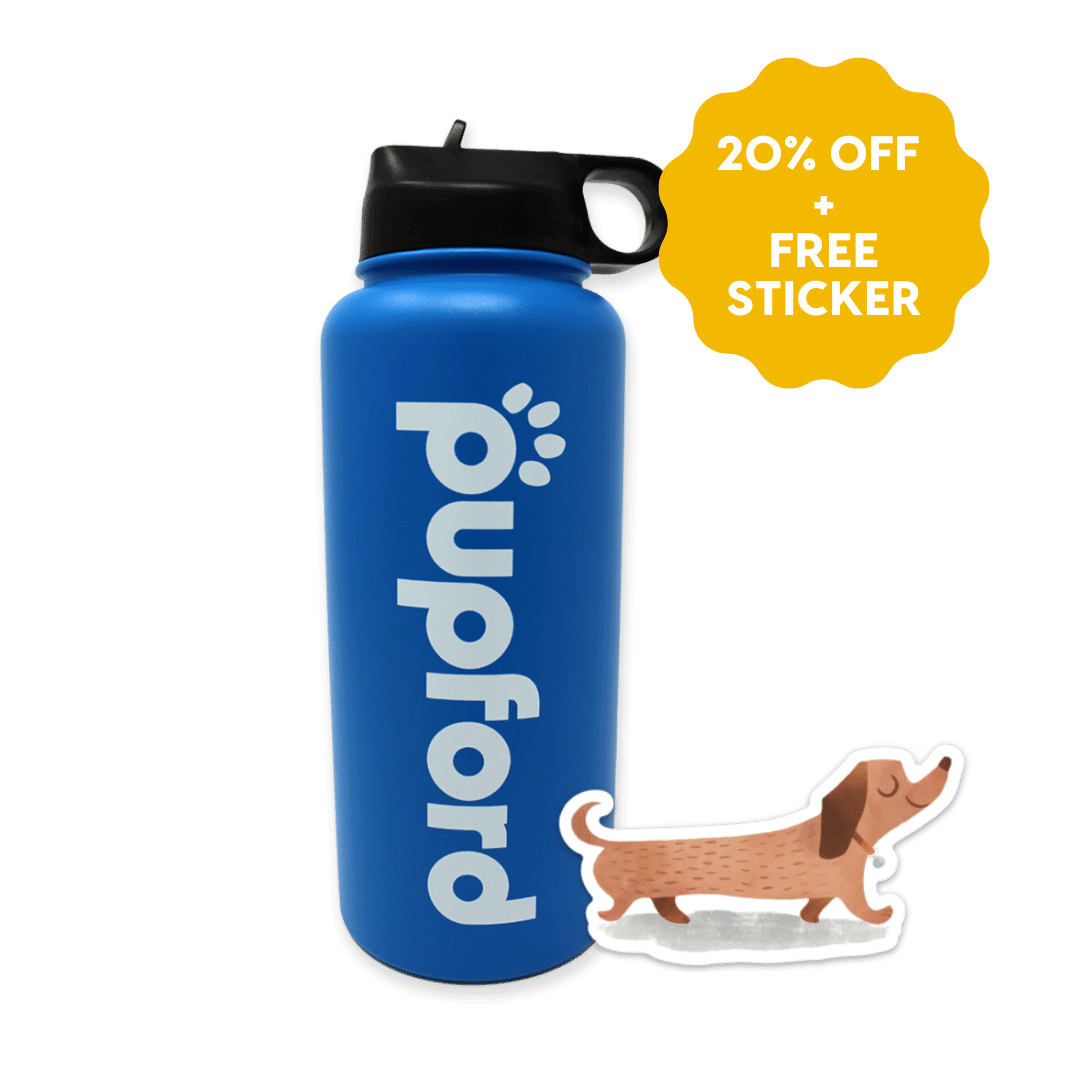 BFCM blue water bottle product image | Pupford