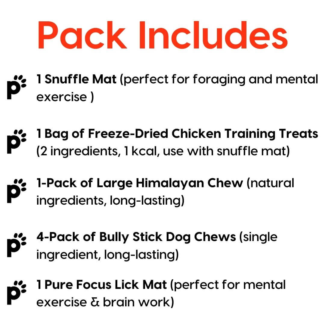 large dog alone time pack inclusions | Pupford