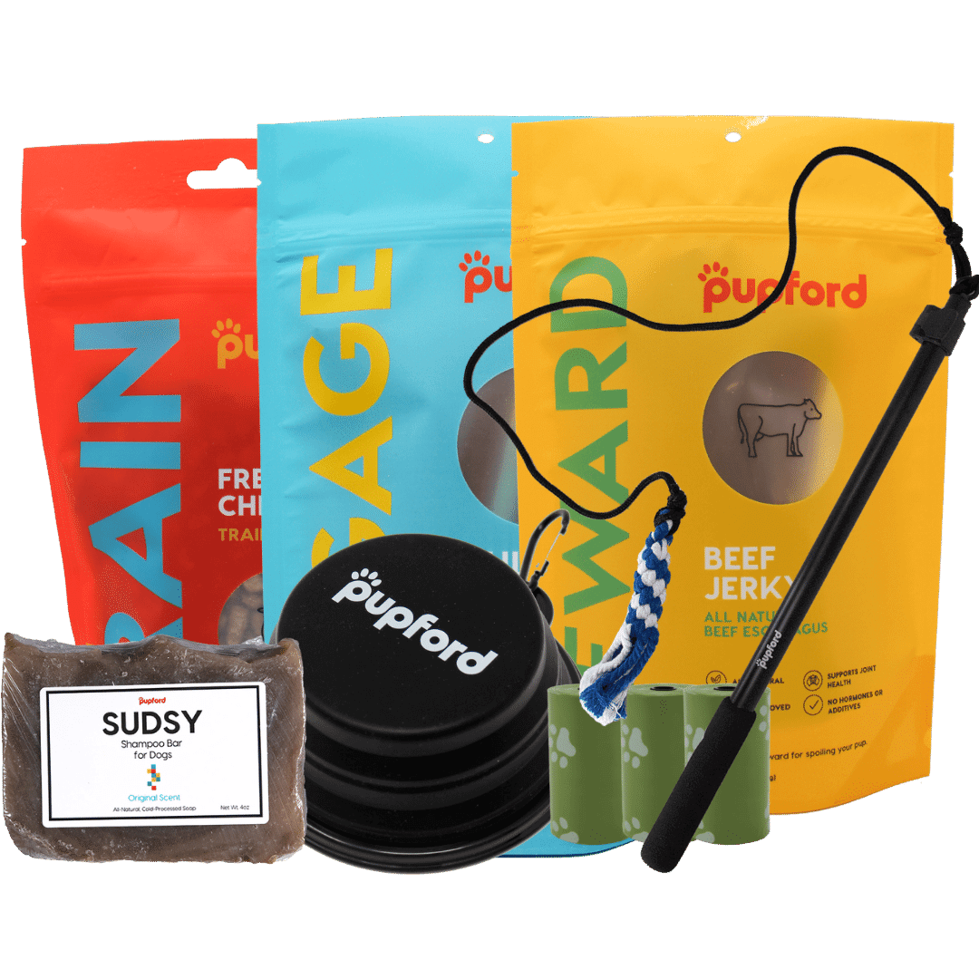 summer pup pack large | Pupford