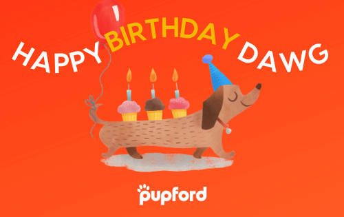 birthday gift card | Pupford
