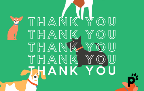 thank you gift card | Pupford
