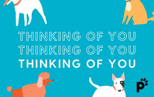 thinking of you gift card | Pupford