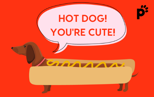 hot dog gift card | Pupford