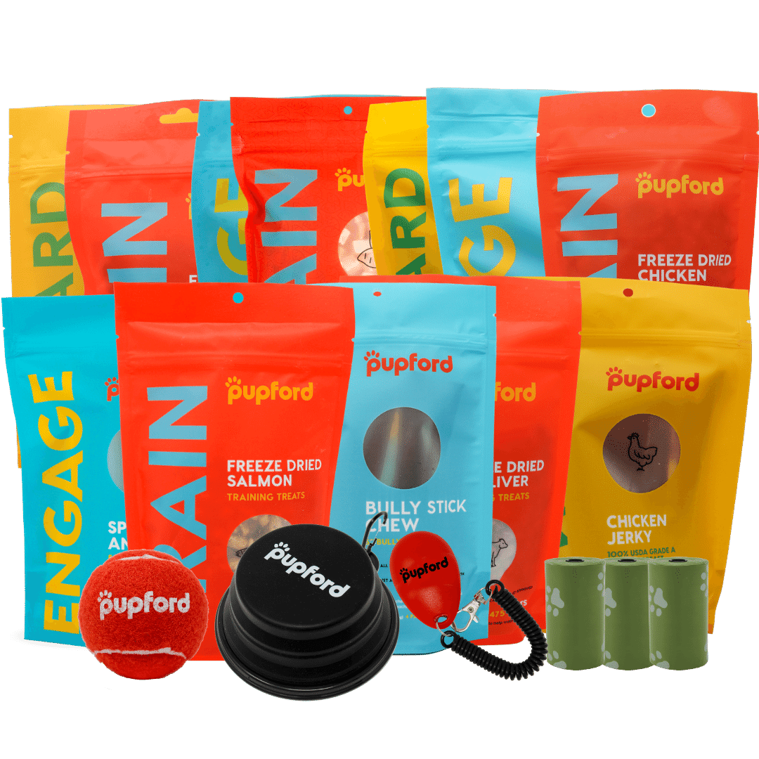 medium dog black friday mega pack | Pupford