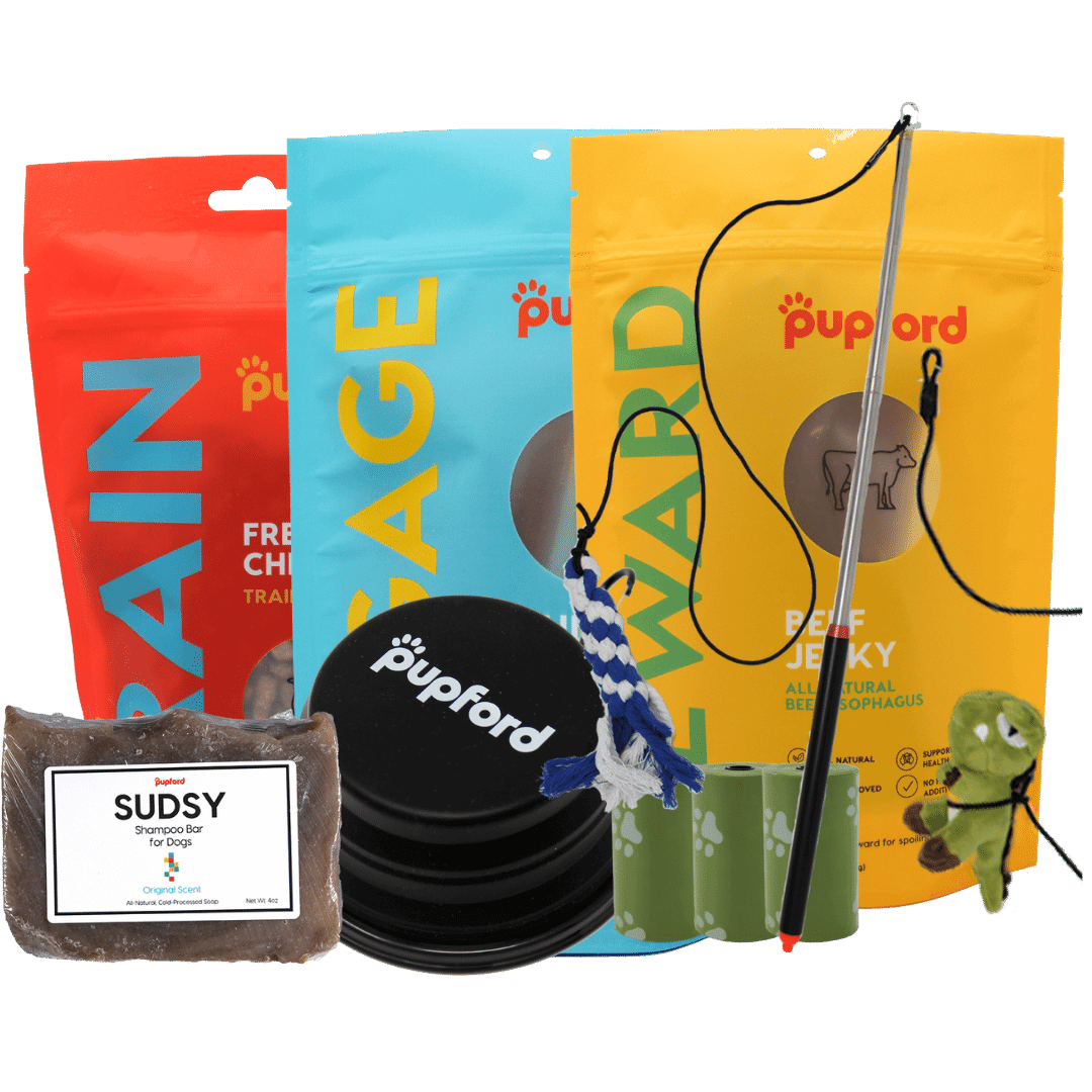 summer pup pack small | Pupford