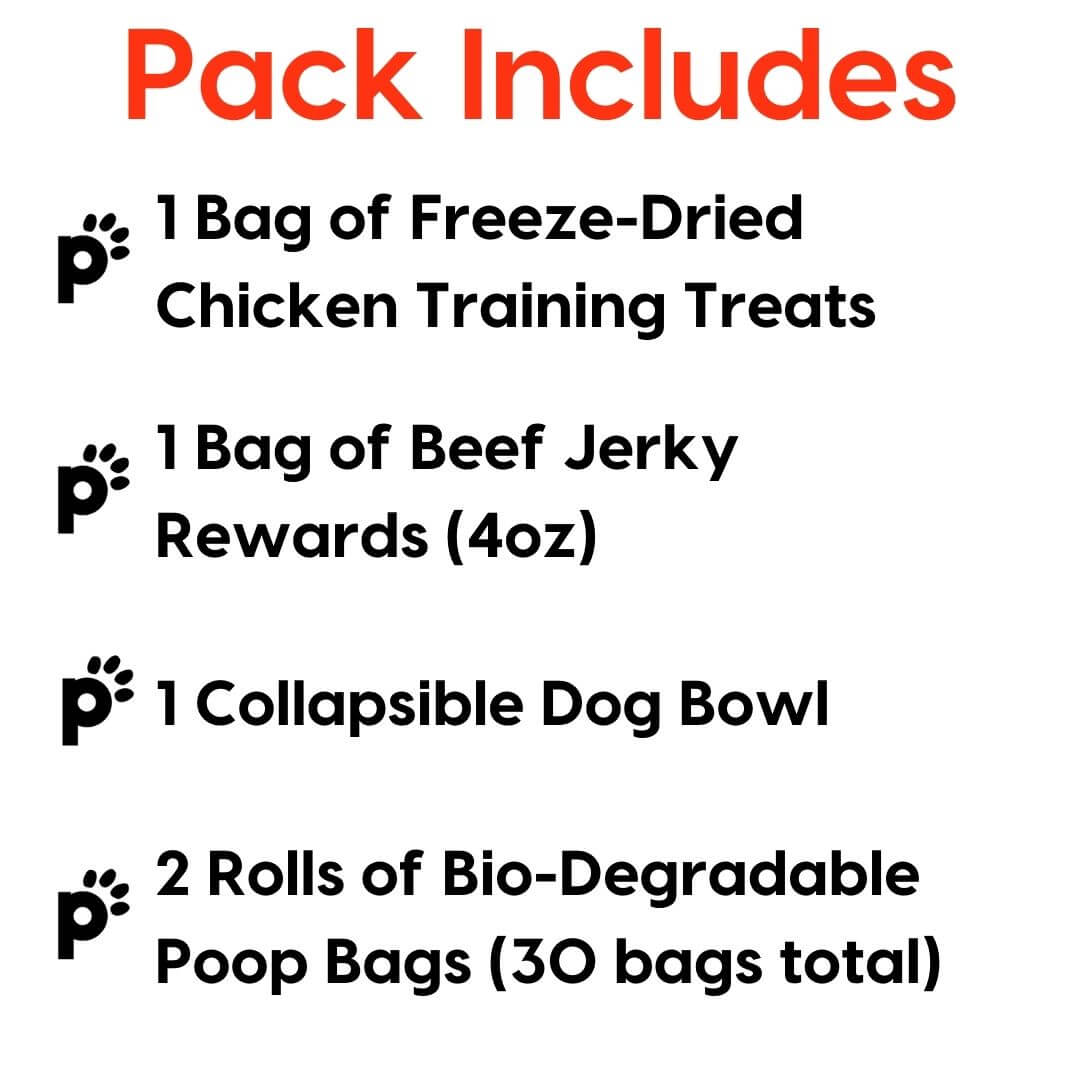 adventure pups starter pack inclusions | Pupford