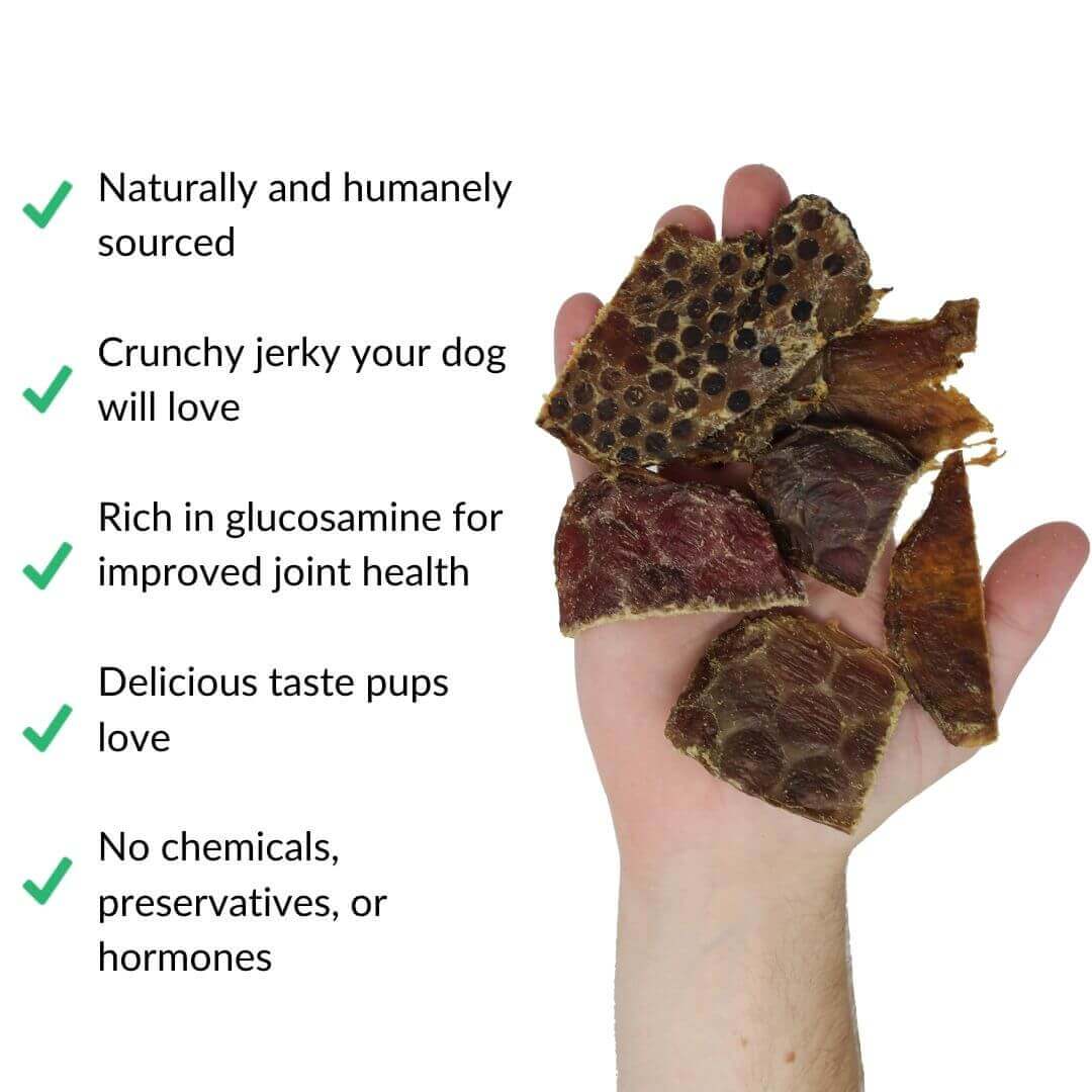 beef jerky in hand with benefits | Pupford