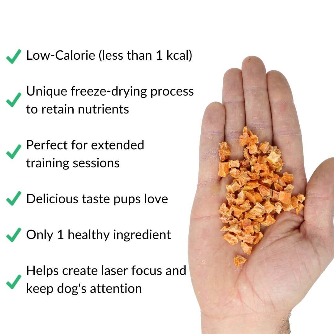 new sweet potato treats benefits product in hand white | Pupford