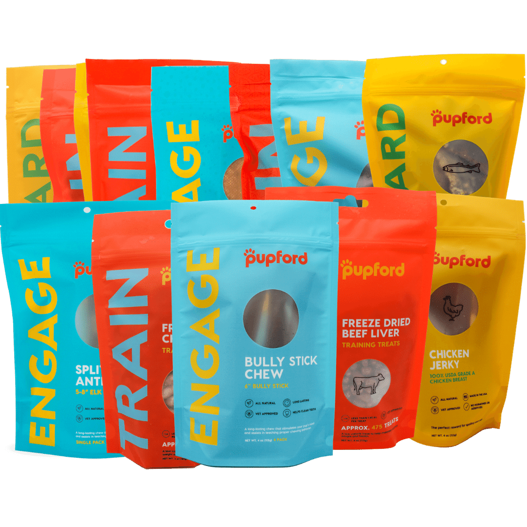 medium dog bark pack | Pupford