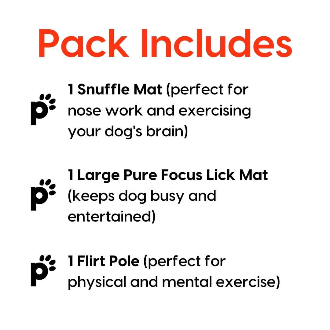 large dog enrichment pack inclusions | Pupford